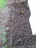 Weeding Complete