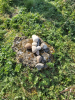 Prayer Stone Cross